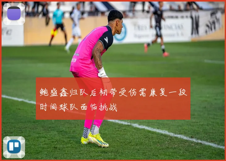 鲍盛鑫归队后韧带受伤需康复一段时间球队面临挑战